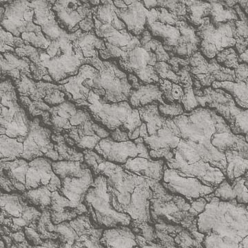 soil brownies texture