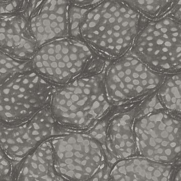 alien cells texture