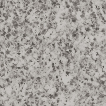 marble kitchen texture