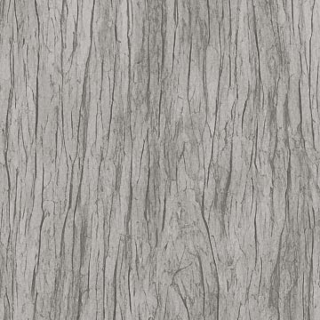 Wood texture